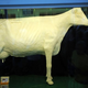 Image for article titled 600-Pound Butter Cow Sculpture Wins Iowa Caucus